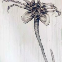 Canvas Print:Face Huggger